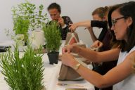 MadCityZen initie les collaborateurs à l’art du jardin miniature lors d’un atelier team building. | © MadCityZen